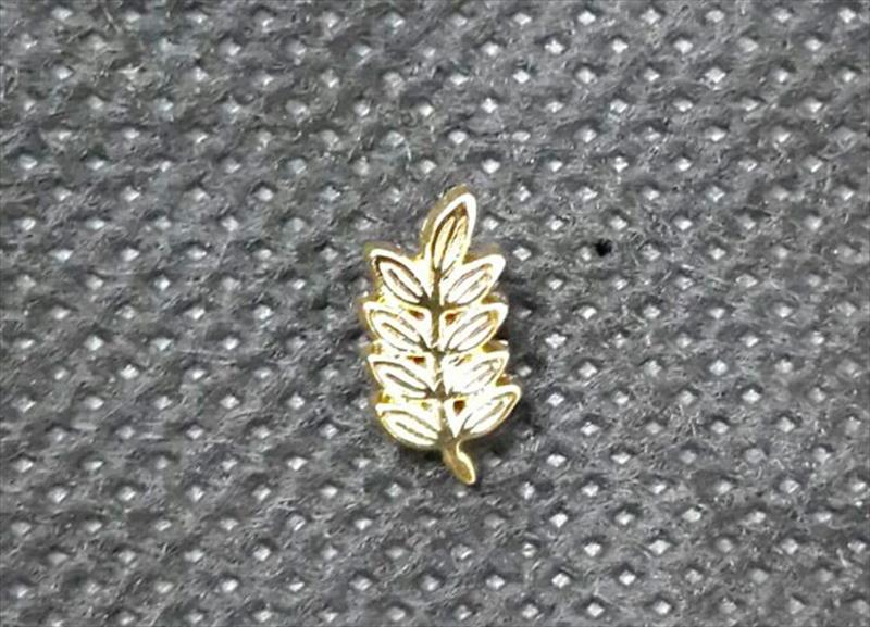 Pin 1/2" Folha de Acácia